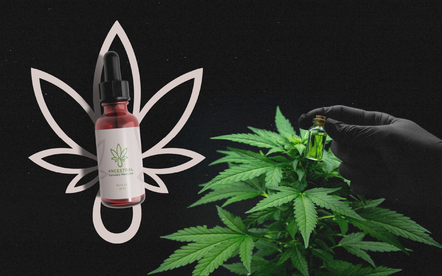 Ancestral — Mockup de packaging y etiquetado